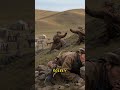 Subutai: The Mastermind Behind the Mongol Empire | Greatest Military Strategist