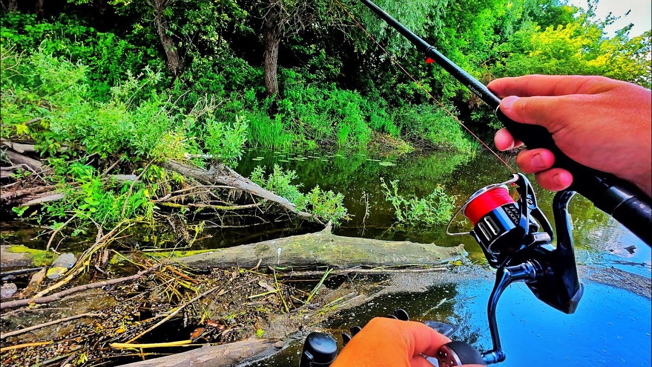 ДЕ ВСЯ ЩУКА на ДЕСНІ? Ловля Щуки на Спінінг Влітку 2025!