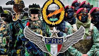 🇲🇽 BRIGADA DE FUSILEROS PARACAIDISTAS (BFP) 🪂 La LETAL FUERZA AEROTRANSPORTADA del EJÉRCITO MEXICANO