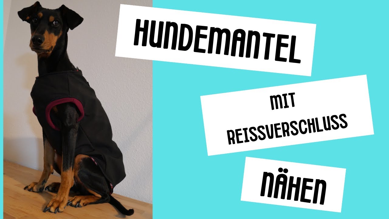 Hundemantel Mit Geschlossenem Bauch Selber Nahen