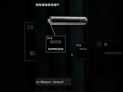 Is THIS the Best Assault Rifle Build?