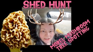 2023 March Shed Hunt & Morel Mushroom Tree Spotting