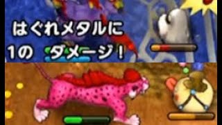 【ドラクエタクト】特技強化と経験値ゴールドダンジョン【DQT実況】