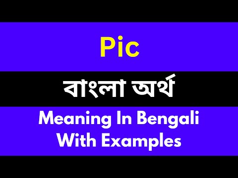 Pic meaning in bengali/Pic শব্দের বাংলা ভাষায় অর্থ অথবা মানে কি