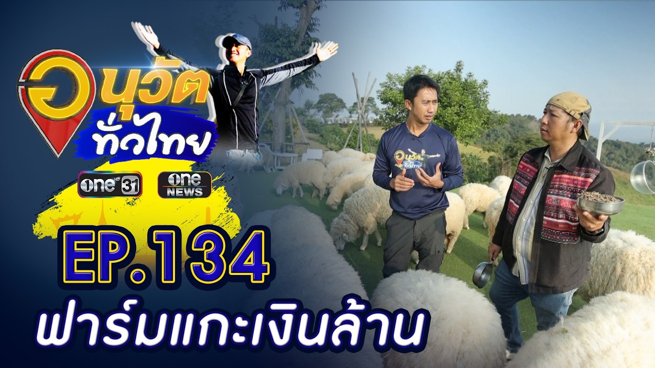 บุกฟาร์มแกะ ล้วงเส้นทางธุรกิจเงินล้าน | อนุวัตทั่วไทย | EP 134 | ข่าวช่องวัน | one31