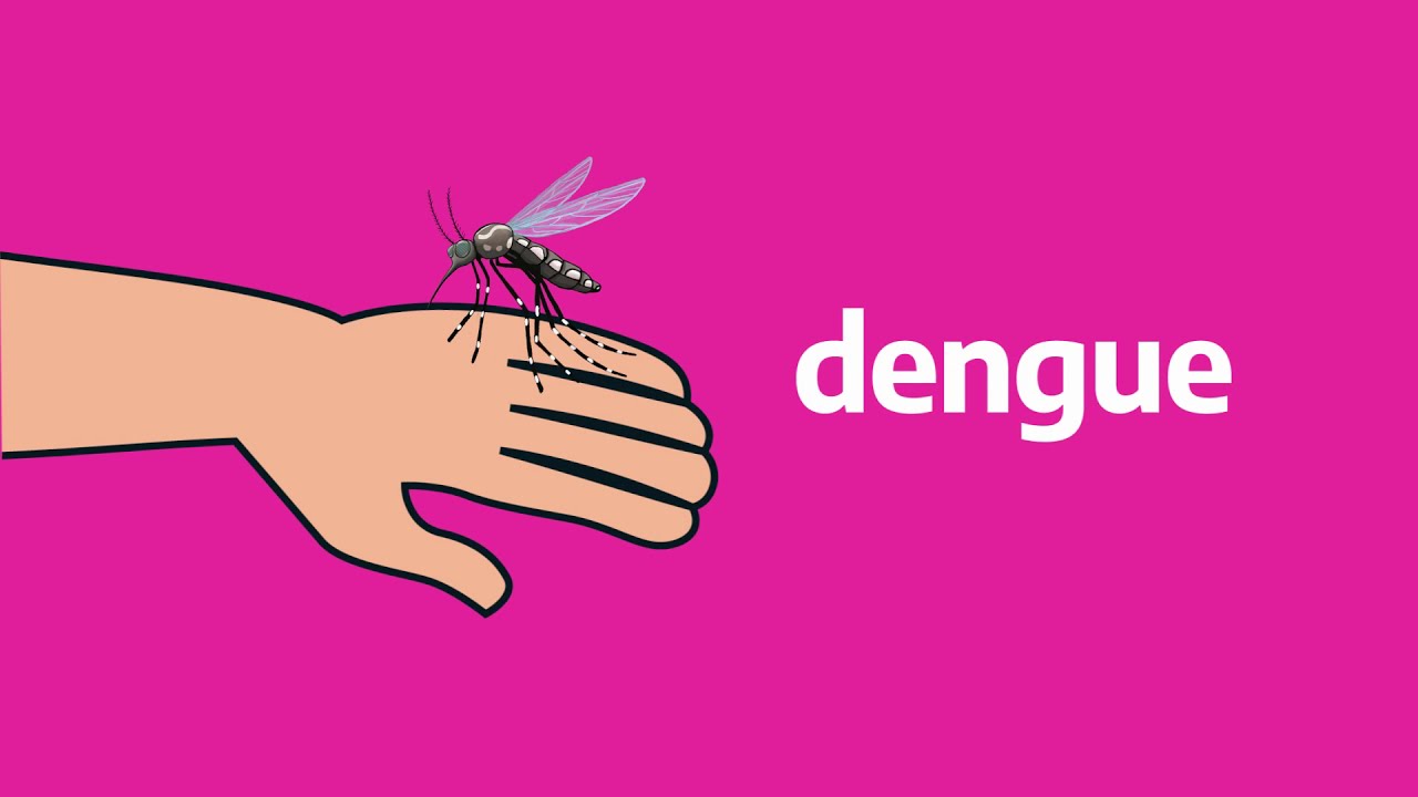 Dengue, Zika y Chikungunya 