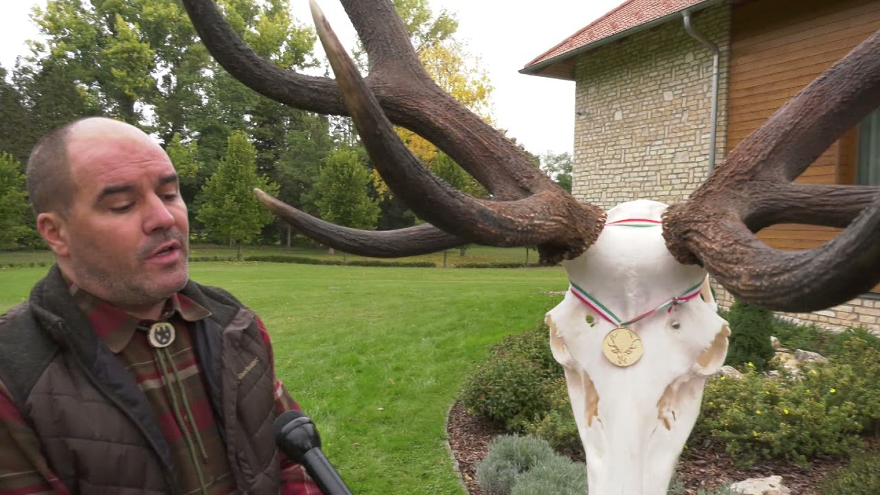 A SEFAG Zrt. trófeaszemléje Lábod-Nagysallérban