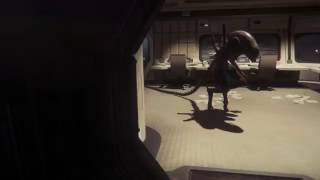 Alien Isolation - Alien glitch Wealth