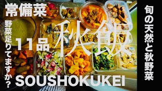 常備菜【旬の野菜がカラダに良い理由】秋野菜で作り置き11品。野菜をたくさん食べることは健康への第一歩。１日３５０gのお野菜を心がけよう。根生姜｜はす芋｜かぶ｜春菊｜アボカド｜ブロッコリー｜バターナッツ