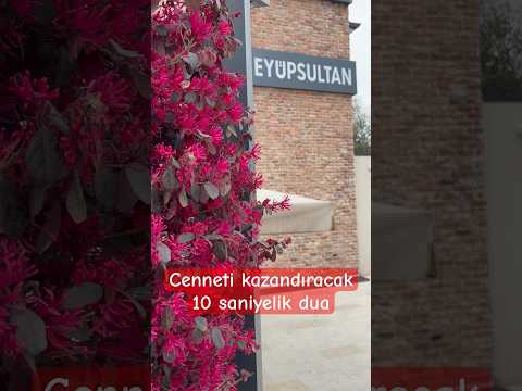 Cenneti kazandıracak 30 saniyelik #dua #amin #short #shortvideo #viral #trending #video #ytshorts