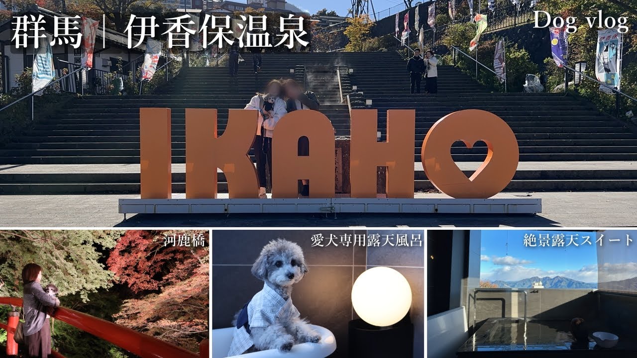 愛犬とずっと一緒の伊香保温泉旅｜Doggyスイートペロ