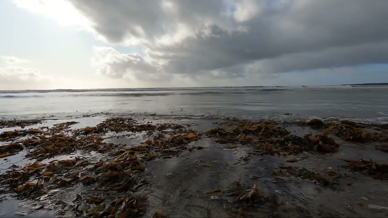 Walking on the beach near Hotel Budir in Iceland — Budir — video poster