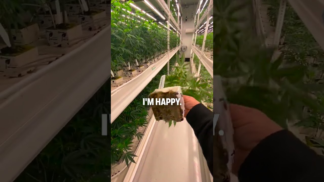 Most Overlooked part of Growing .. 