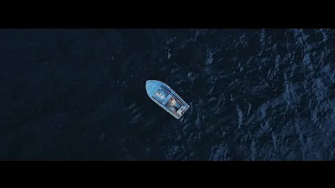 SHIRLEY - Electricity (Official Music Video)