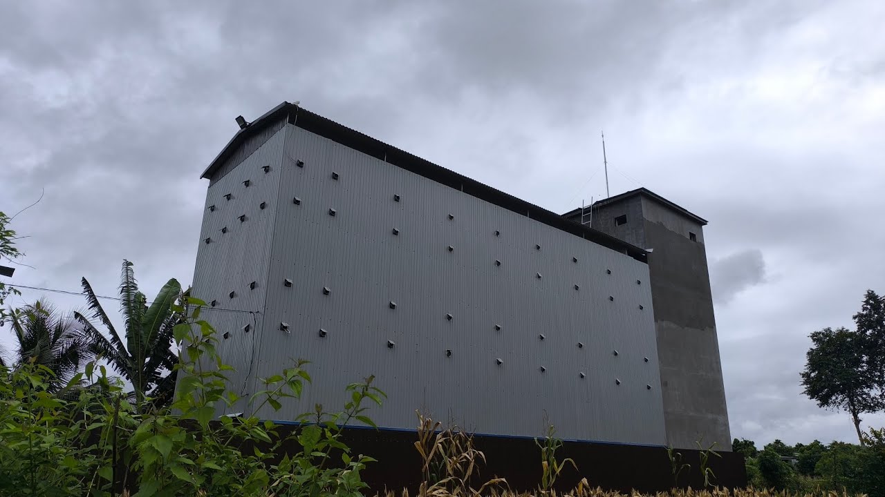 Thăm nhà yến mở máy hơn 11 tháng dt 240m2 , 3 sàn 70 tổ lớn và nhiều chim mới tại xã EAbar đak lak