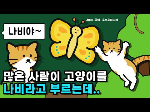 고양이를 왜 &amp;#39;<strong>나비야</strong>~&amp;#39;라고 많이 부를까?