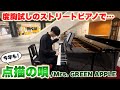 まるでコンサートホール…度胸試しすぎるストリートピアノで『点描の唄 / Mrs. GREEN APPLE』弾いてみました。