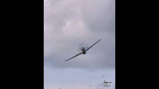 P-51 Mustang Frances Dell Screaming High-Speed P & Victory Roll