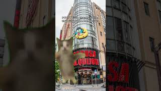 Things we do for donki Japan #explorejapan #japantravel #japan #visitjapan #experiencejapan #tokyo