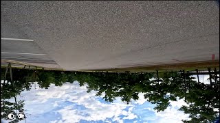 How Long Will A Battery Thats Lost A Cell Fly? Fpv Chill Theory Tested