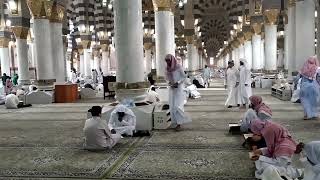 Mengaji Al Qur'an di Masjid Nabawi
