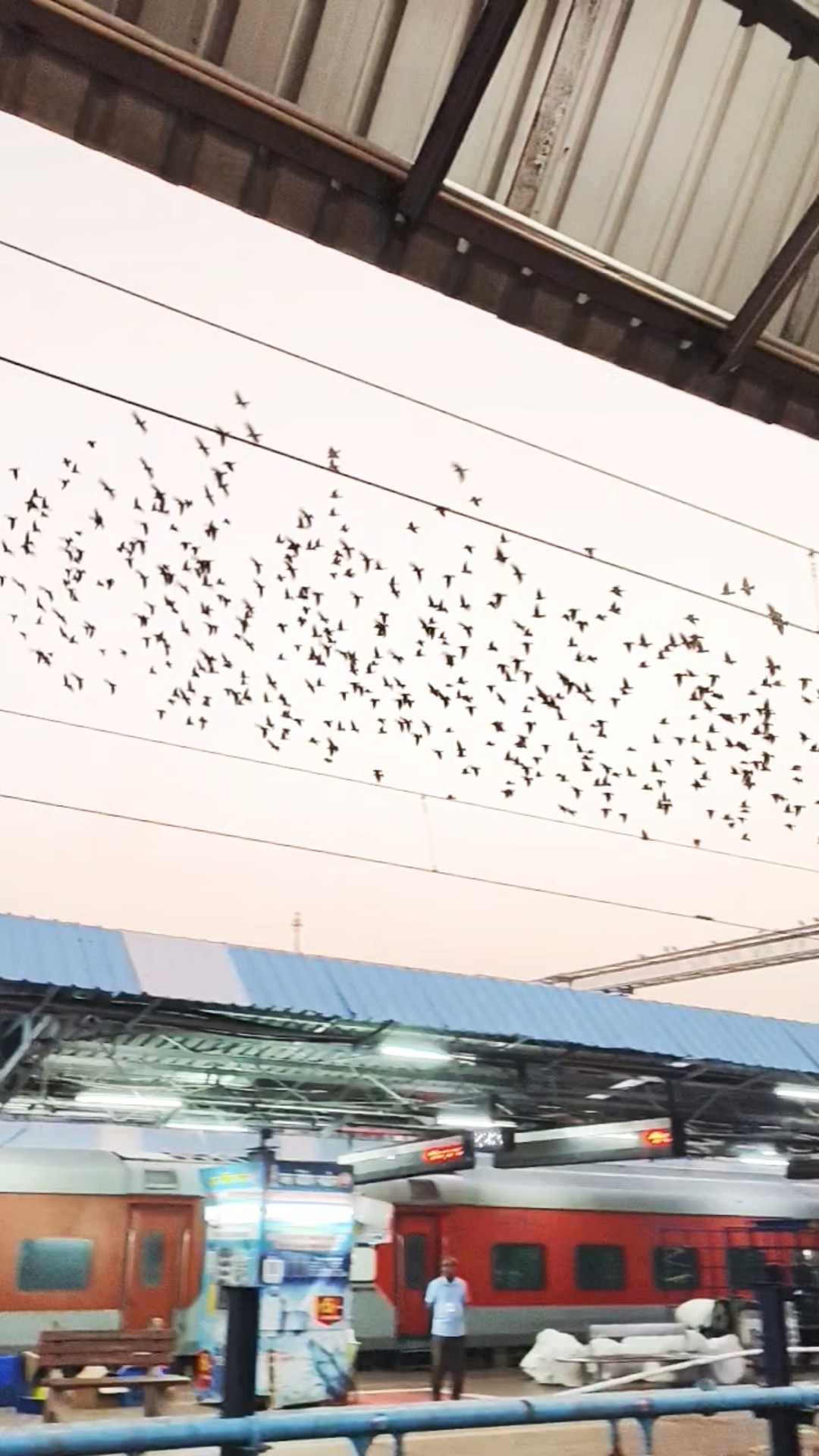 🥰লাভ goals❤ - ShareChat