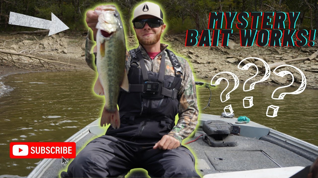 Bass fishing Norris lake end of September. YouTube