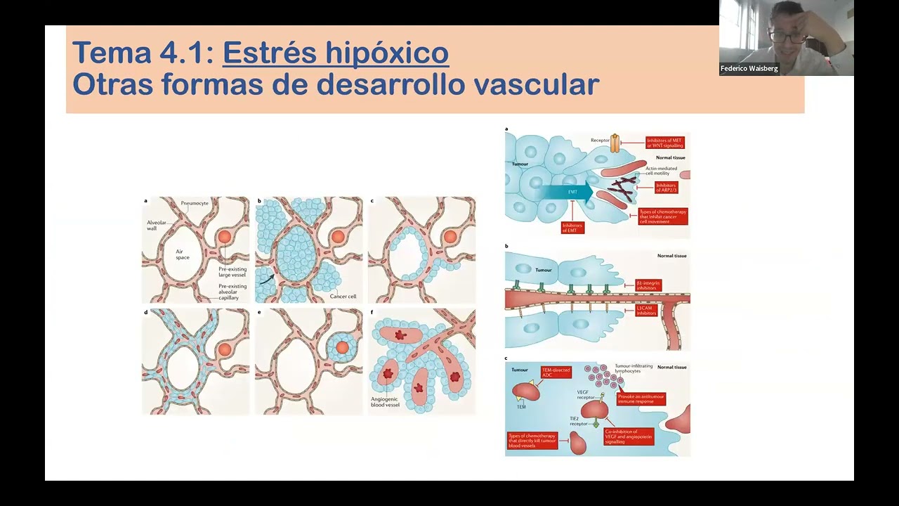 31 10 2025 - BIOLOGÍA - Estres celular: Hipóxico - Metabólico - Oxidativo - Proteostático