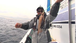 【いつでも釣り気分！】#240 高次元タックルで深棚攻略 冬の相模湾でヤリイカ釣り