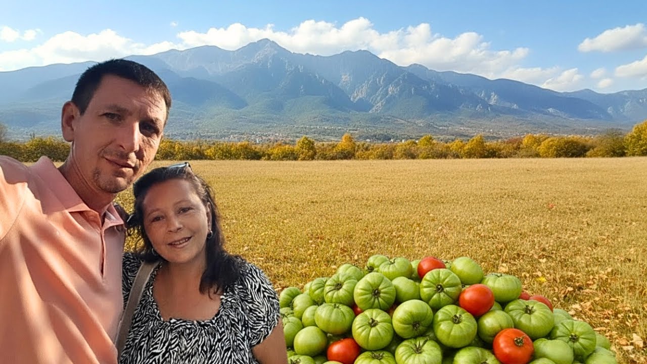 Какво намерихме в парника след края на сезона?! 🍅 | Нашият Живот на Село