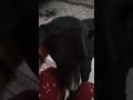 #shorts #shortvideo