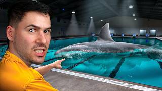 видео: Плувах в Басейн с АКУЛИ💀 картинка: Плувах в Басейн с АКУЛИ💀