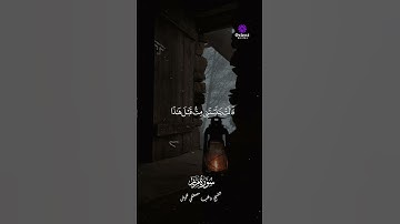 ❤️ صوت يخاطب القلب والروح | تلاوة هادئة ومؤثرة