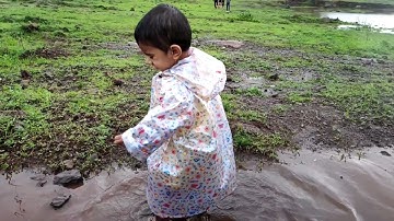 Advi enjoying muddy puddle