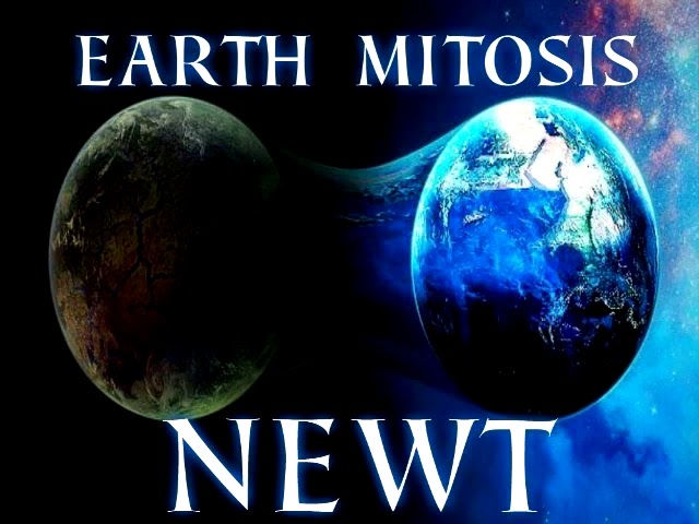 Newt - Earth Mitosis - YouTube