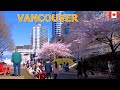 Life in vancouver canada  downtown vancouver walking tour on march 24 2024