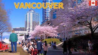 Life in Vancouver Canada  Downtown Vancouver Walking Tour on March 24 2024