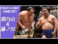 【九月場所全取組】朝乃山(高砂部屋)＆藤ノ川(伊勢ノ海部屋) ＜令和8年九月場所＞SUMO