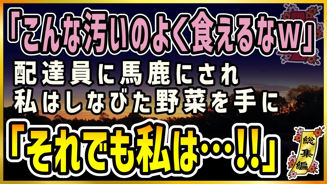 【感動★総集編】こども食堂【泣ける話】「こんな汚いのよく食えるなｗ」配達員に馬鹿にされ、私はしなびた野菜を手に「それでも私は…！！」