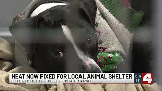 CARE STL’s heating issues fixed, still looking for support from the community