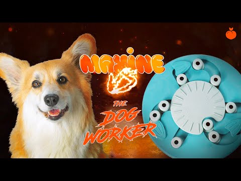 Maxine VS. The Dog Worker | Product Review #2