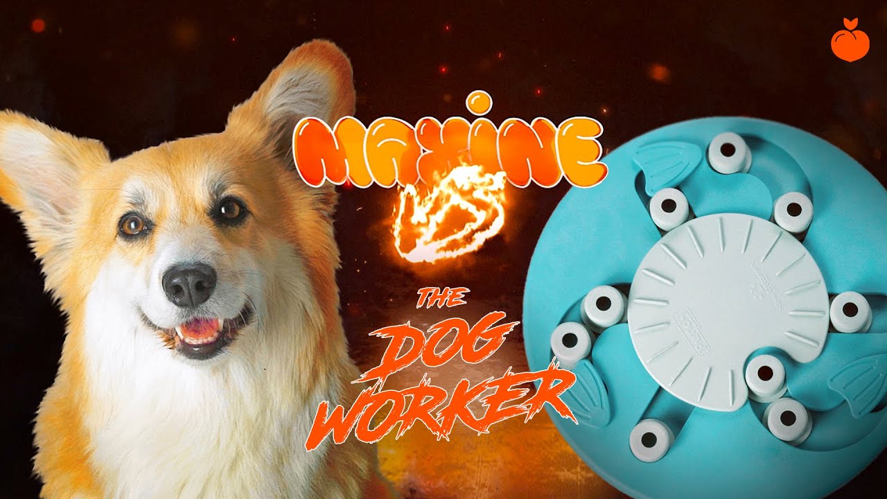 Maxine VS. The Dog Worker | Product Review #2
