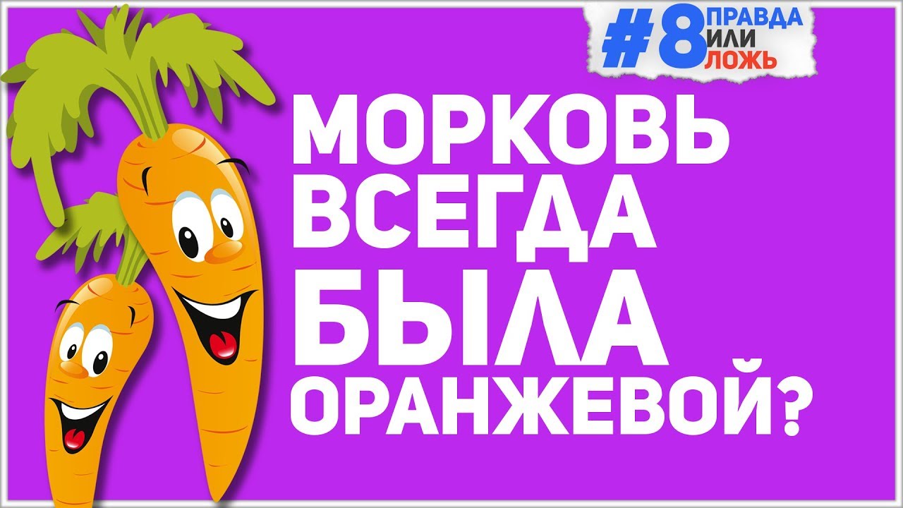 Морковь про канал ЧЕЛЛЕНДЖ. Вранье 8