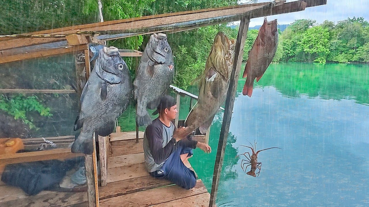 membangun rumah gantung mancing lobster dan panen ikan besar