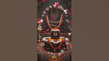 जय बाबा शिव शंकर 🕉️☘️🌼🌹🙏 #harharmahadev #mahadev #shiv #teamfx #bholenath #shorts #mahakal #shambhu