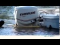 Evinrude 150 VS Yamaha 150