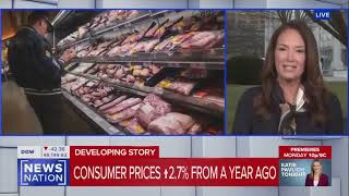 Download Lagu Agriculture Secretary Brooke Rollins says barely eating will save you money MP3