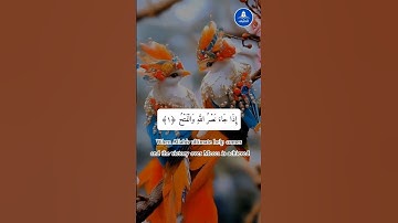 سورة النّصر #الله #القرآن #فيروسي #فيديو فيروسي #فيديو فيروسي على يوتيوب #فيديو رائج #سورة النّصر