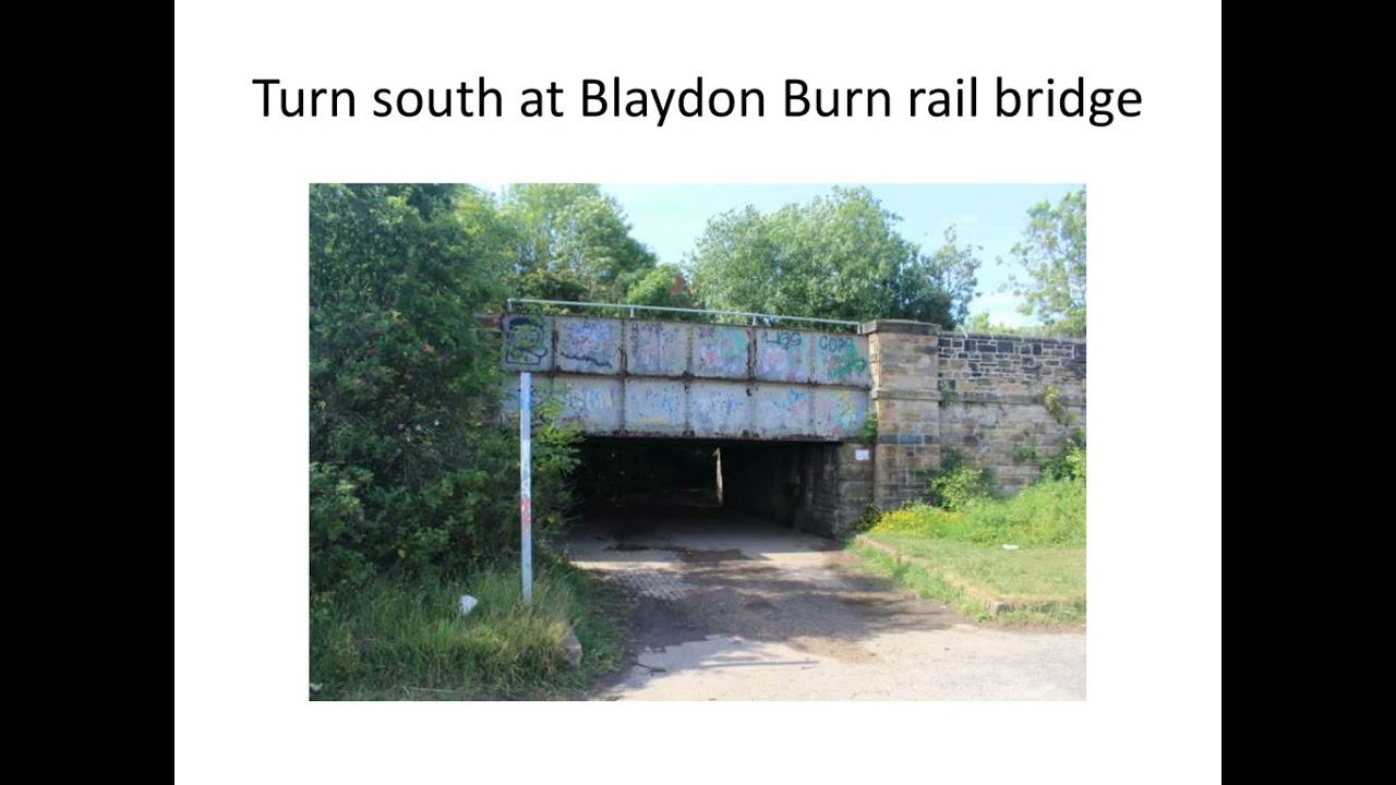 Wild camping at Brockwell Woods by train YouTube