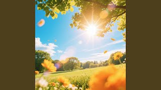 Download lagu Wishing Sunshine Daily